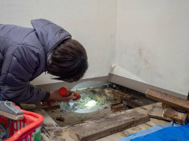 Best Indoor Air Quality Assessment  in East Valley, NV